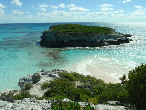 Tours | Eleuthera Tours